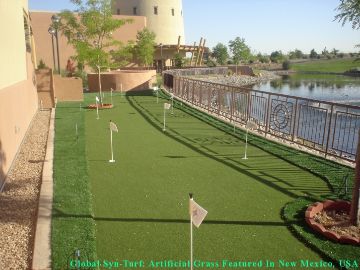 Faux Grass North Tustin, California Putting Green Carpet, Backyard Landscape Ideas