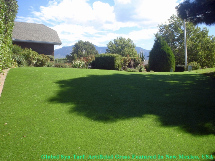 Faux Grass Placentia, California Dog Pound, Backyard Ideas