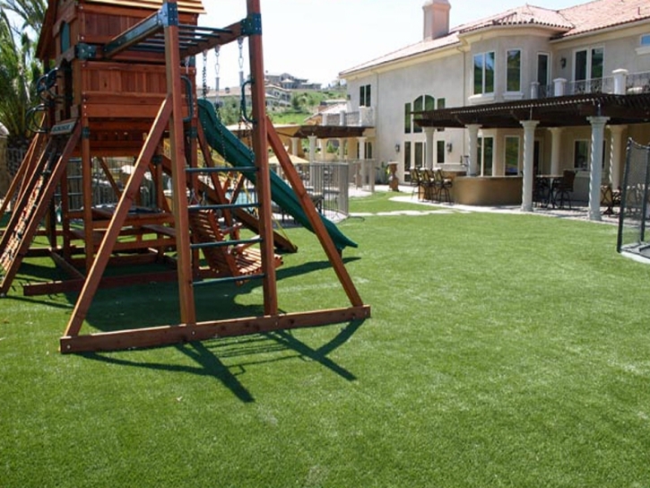 Faux Grass Portola Hills, California Playground, Backyard