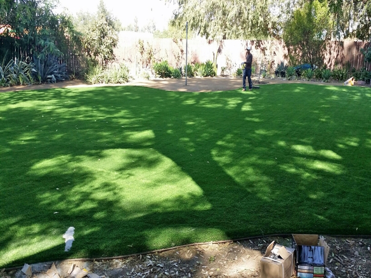Faux Grass Stanton, California Landscape Ideas, Small Backyard Ideas