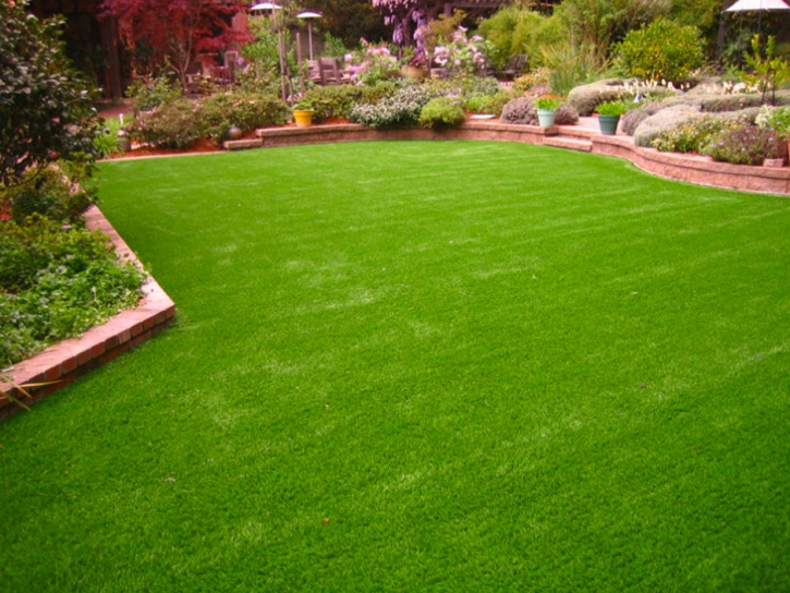 Grass Carpet Aliso Viejo, California Landscaping, Backyard Landscaping