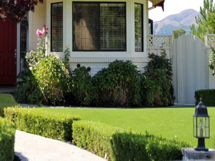 Grass Carpet Anaheim, California City Landscape, Landscaping Ideas For Front Yard