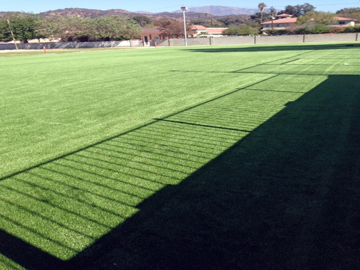 Grass Carpet La Habra, California City Landscape