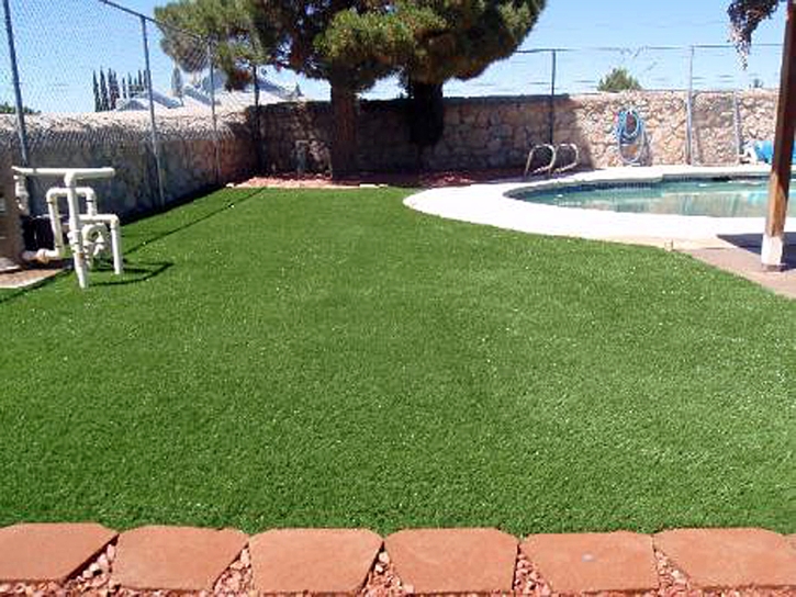 Grass Carpet Midway City, California Dog Hospital, Backyard Pool