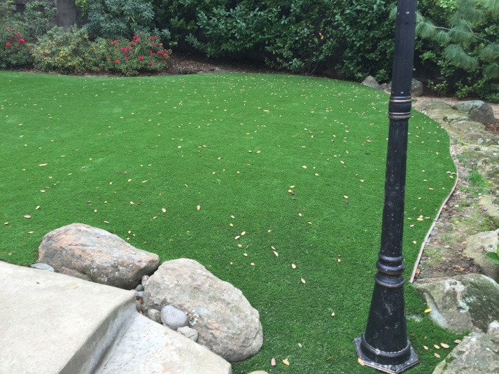 Grass Carpet Mission Viejo, California Landscape Photos, Backyard Landscaping