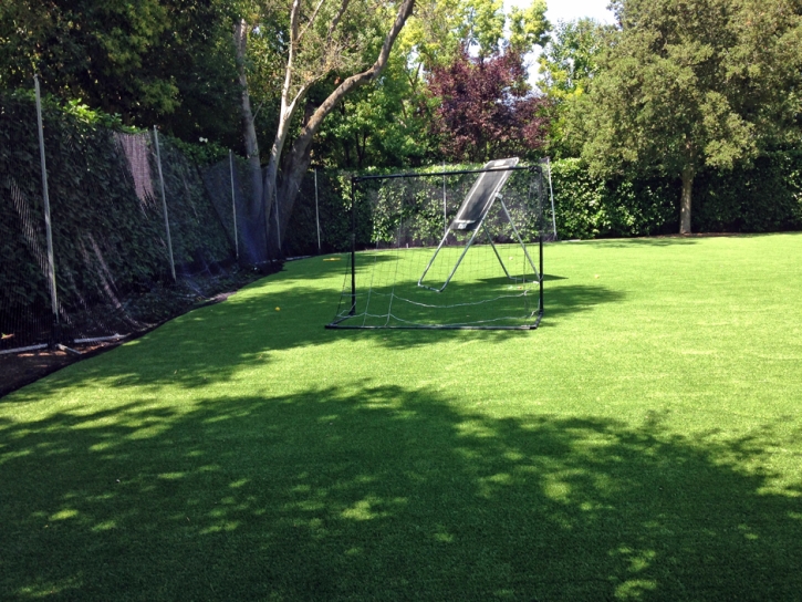 Grass Carpet Mission Viejo, California Eco Friendly Products, Beautiful Backyards