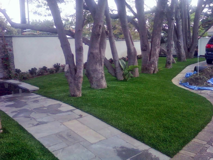 Grass Carpet Rancho Santa Margarita, California Lawns, Front Yard Ideas