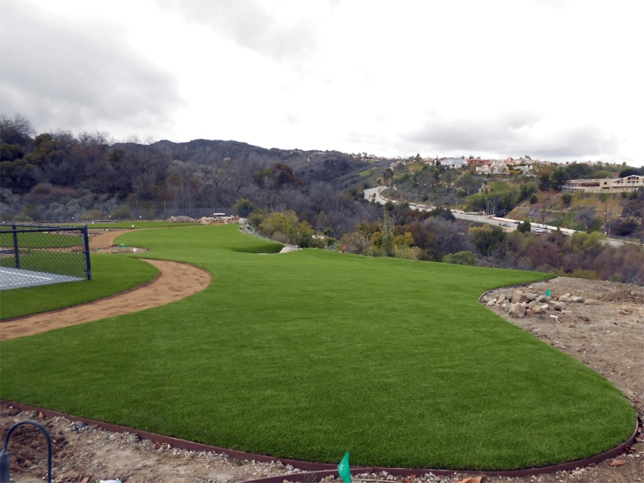 Grass Carpet San Joaquin Hills, California Roof Top