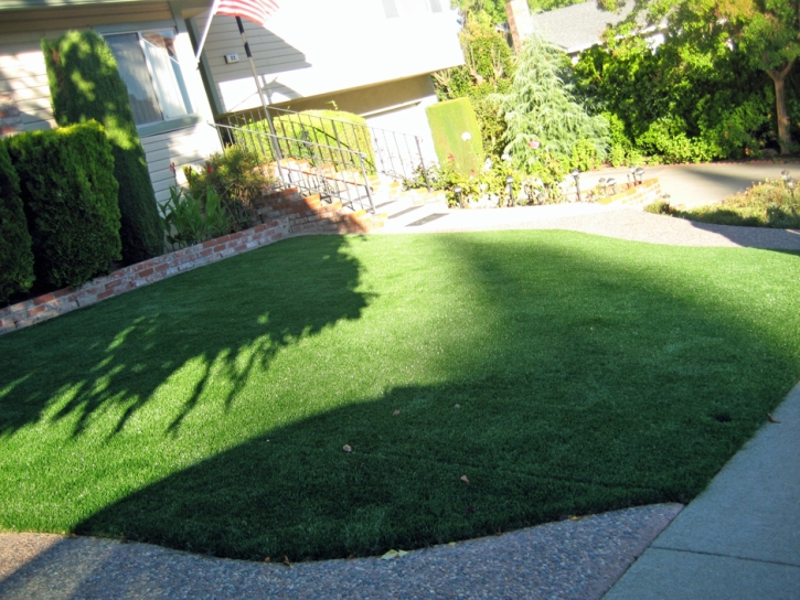 Grass Carpet Stanton, California Gardeners, Front Yard Ideas