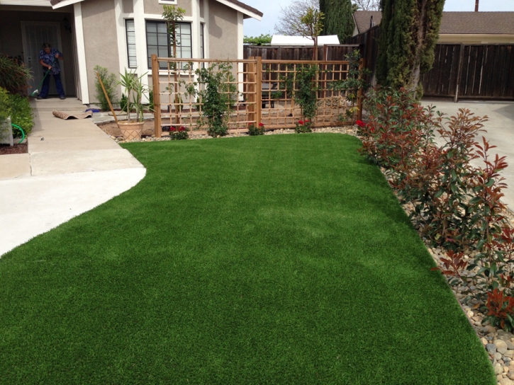 Grass Carpet Villa Park, California Design Ideas, Front Yard Design