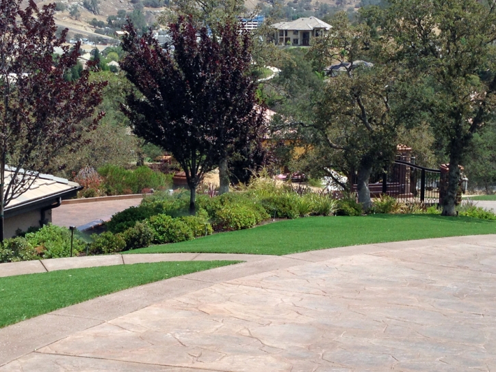 Grass Turf Costa Mesa, California Landscape Photos, Landscaping Ideas For Front Yard