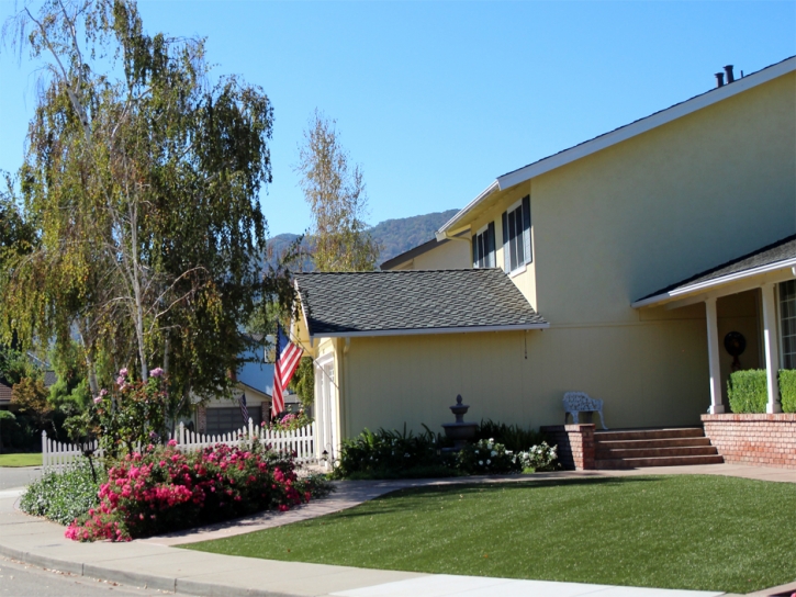 Grass Turf Cypress, California Roof Top, Front Yard