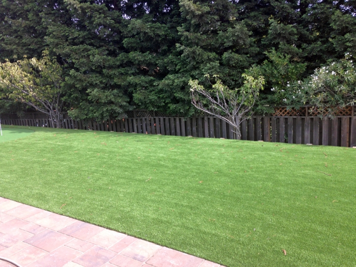 Grass Turf Fountain Valley, California Landscaping Business, Small Backyard Ideas