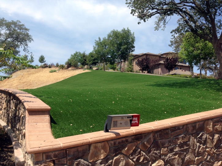 Grass Turf La Habra, California City Landscape, Small Front Yard Landscaping