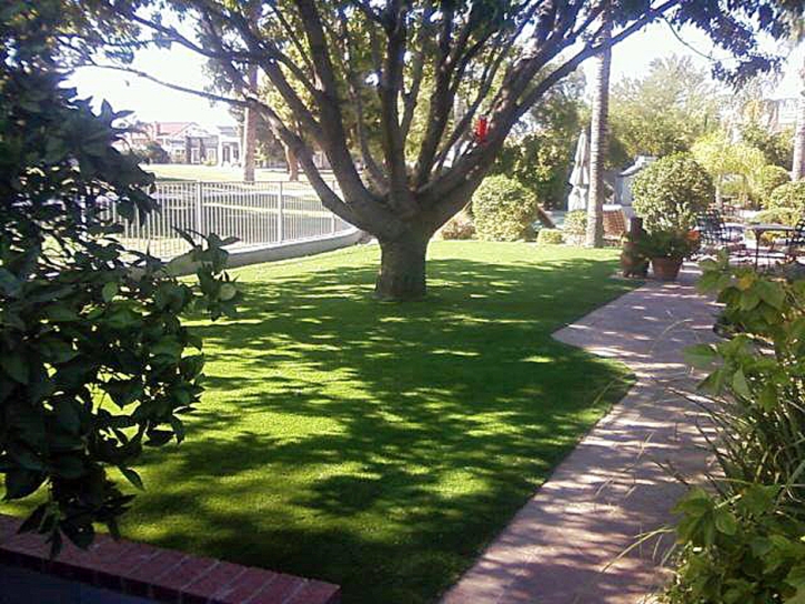 Grass Turf San Clemente, California Landscape Ideas