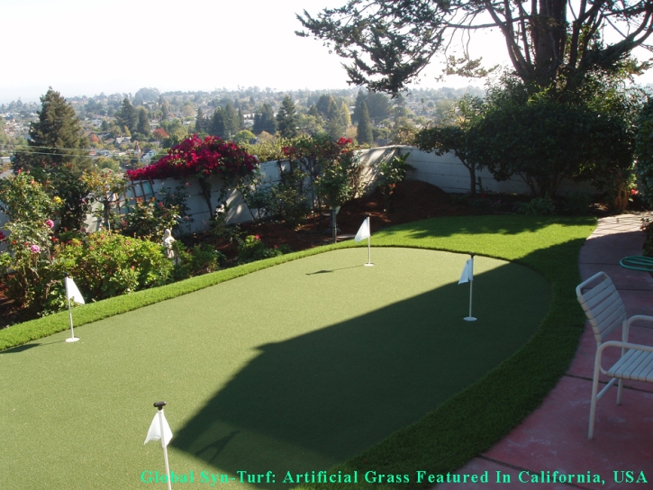 Grass Turf Stanton, California Roof Top, Backyard Landscaping Ideas