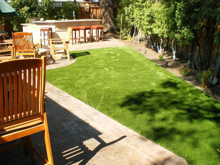 Grass Turf Sunset Beach, California Gardeners, Backyard Ideas