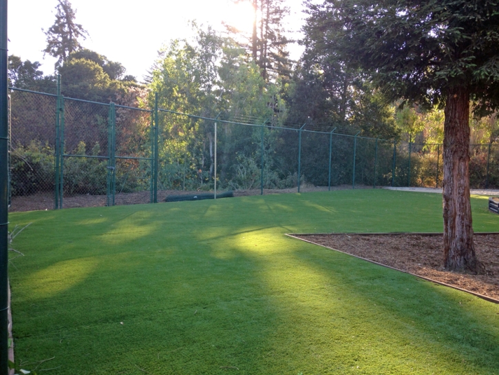 Grass Turf Sunset Beach, California Landscaping, Parks