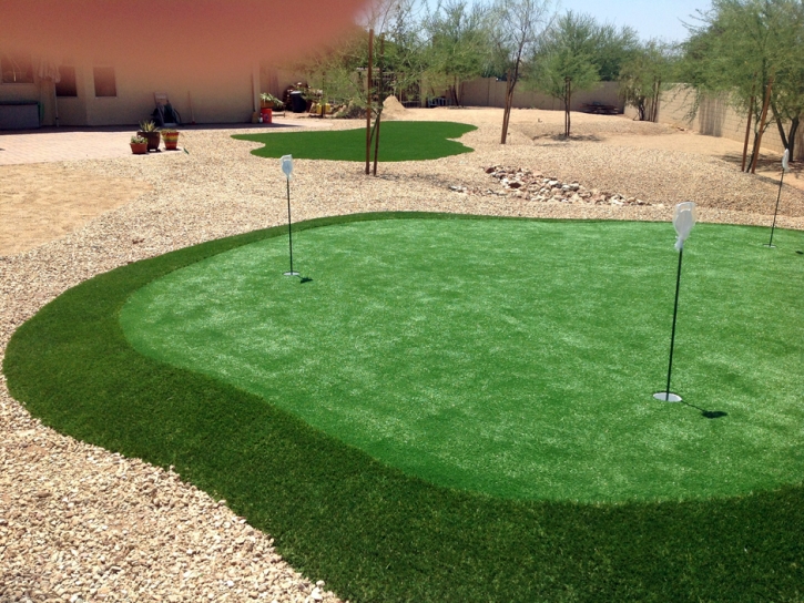 Grass Turf Tustin, California Indoor Putting Greens, Backyard Garden Ideas