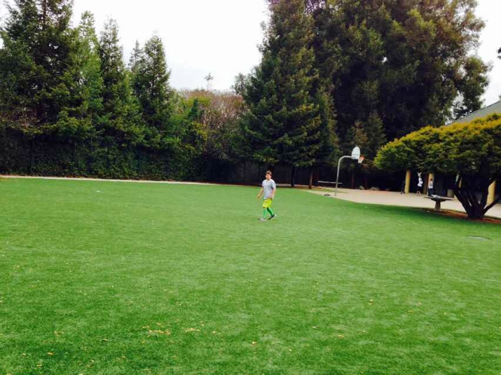 Green Lawn Dana Point, California Backyard Playground, Recreational Areas