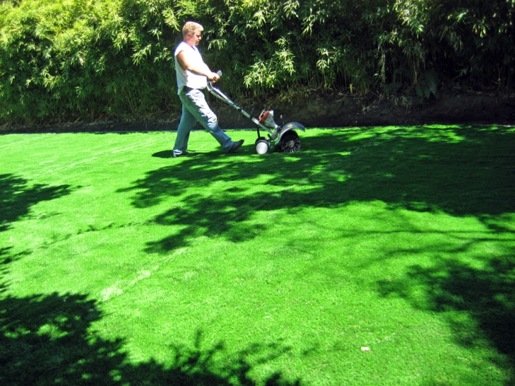Green Lawn Irvine, California Lawn And Garden, Backyard Landscaping Ideas