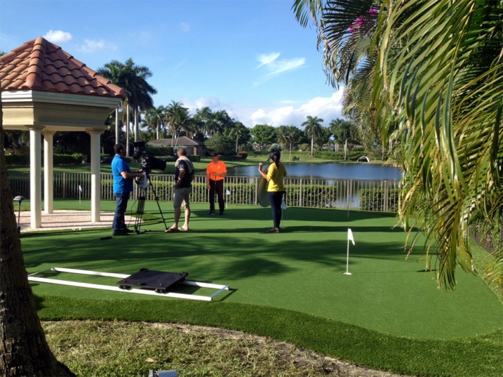 Green Lawn Laguna Hills, California Putting Green, Backyard Landscaping