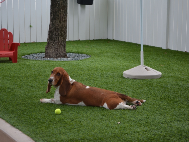 How To Install Artificial Grass Laguna Beach, California Pet Turf, Dogs Runs