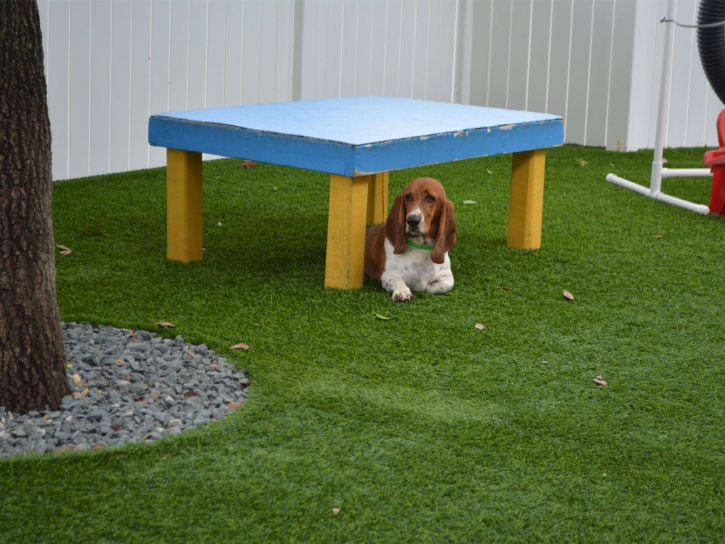 Installing Artificial Grass Seal Beach, California Watch Dogs, Commercial Landscape