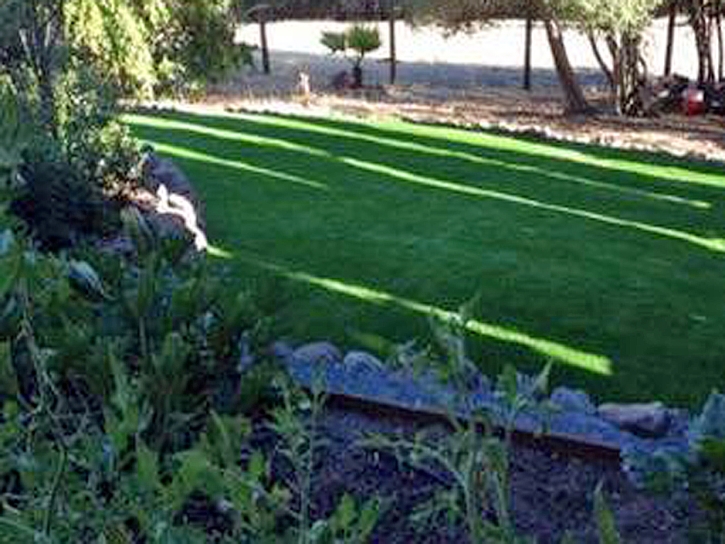 Lawn Services Coto De Caza, California Landscaping, Backyard Makeover