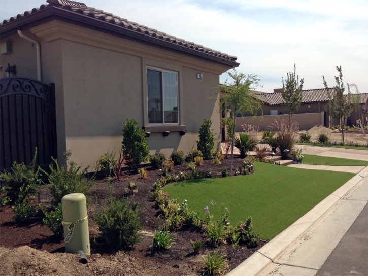 Outdoor Carpet Laguna Beach, California Lawn And Garden, Front Yard Landscape Ideas