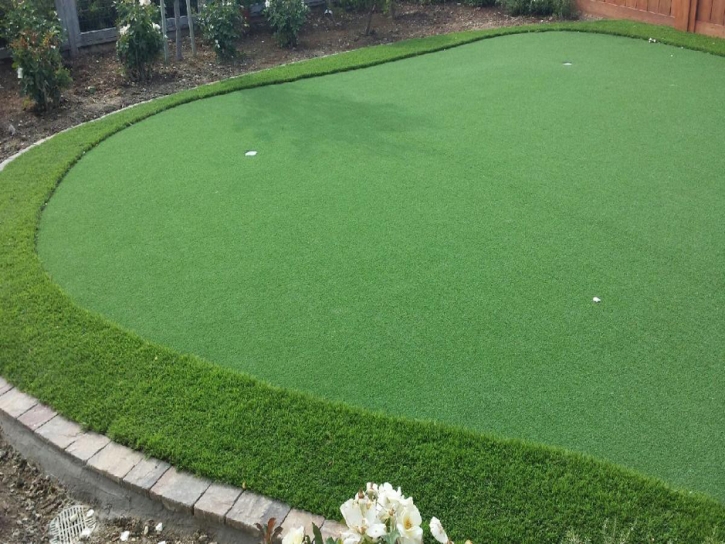 Outdoor Carpet Laguna Niguel, California Office Putting Green, Backyard Designs