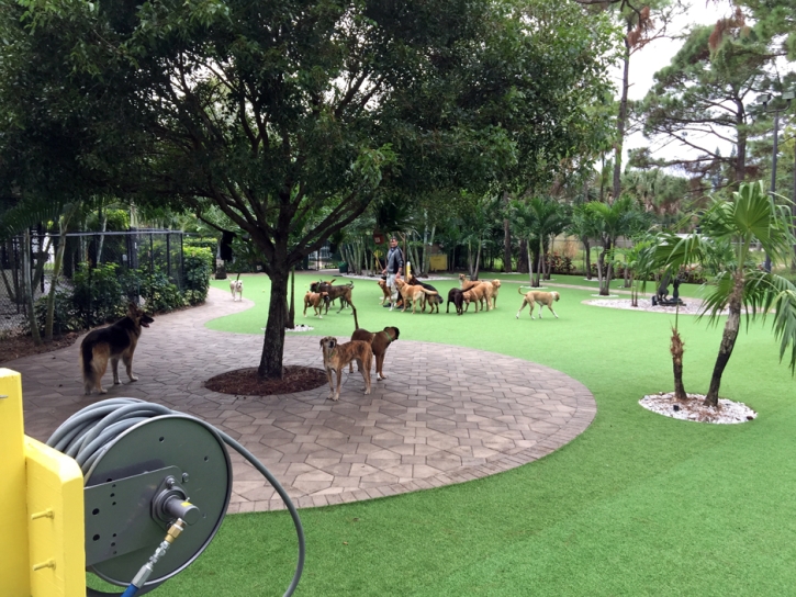 Outdoor Carpet North Tustin, California Roof Top, Commercial Landscape