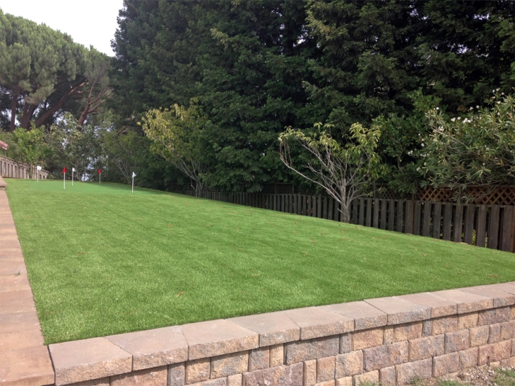 Outdoor Carpet San Joaquin Hills, California Putting Green, Backyard Makeover