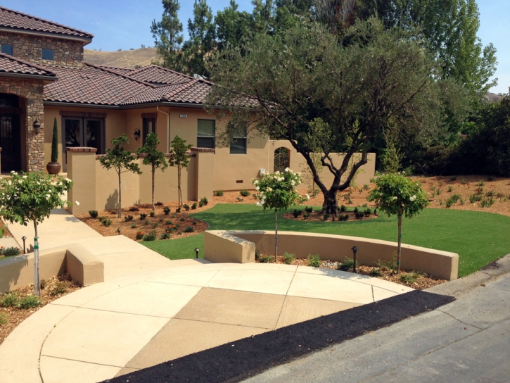 Outdoor Carpet Trabuco Canyon, California Landscape Design, Front Yard