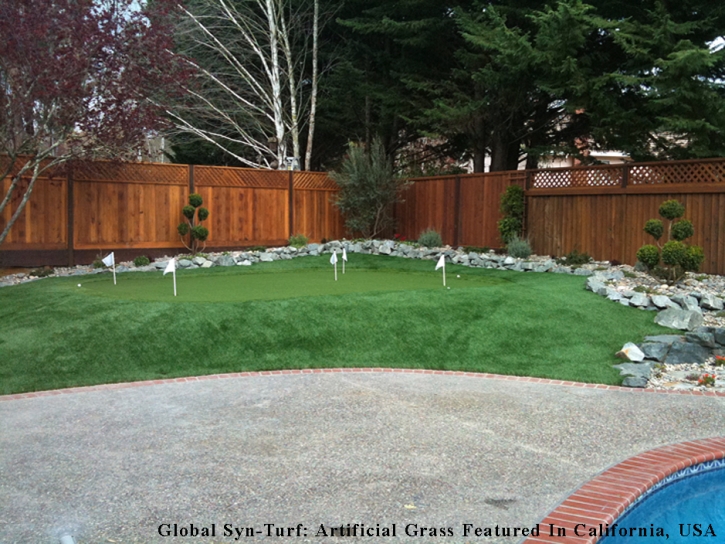 Outdoor Carpet Westminster, California Design Ideas, Backyard Garden Ideas