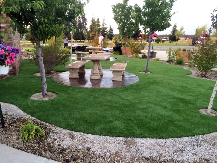 Plastic Grass Coto De Caza, California Kids Indoor Playground, Commercial Landscape