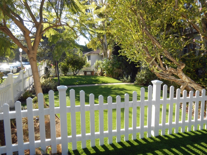 Plastic Grass La Palma, California Landscaping, Front Yard Design
