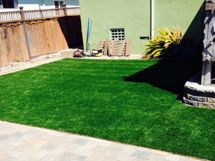 Plastic Grass Laguna Beach, California Fake Grass For Dogs, Backyard Garden Ideas