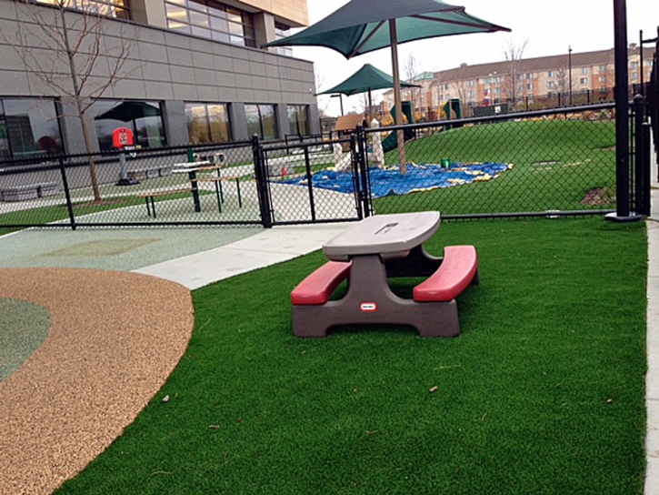 Plastic Grass Mission Viejo, California Kids Indoor Playground, Natural Swimming Pools