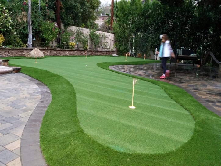 Plastic Grass Portola Hills, California Lawn And Garden, Backyard Ideas