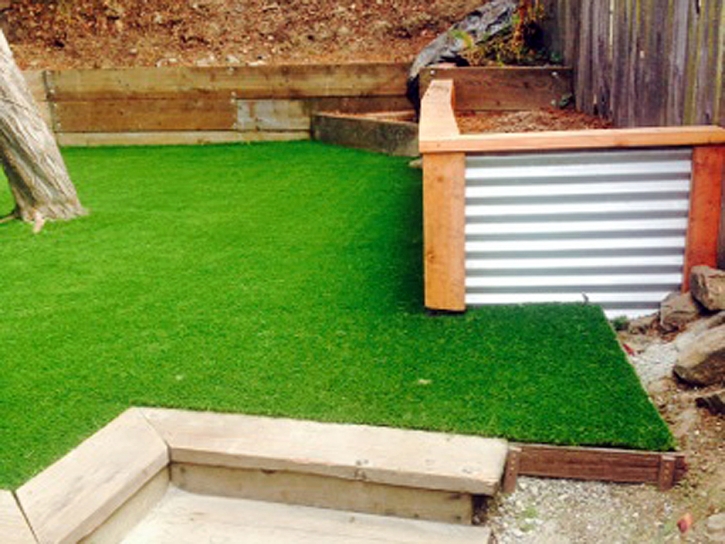 Plastic Grass San Clemente, California Home And Garden, Backyard Garden Ideas