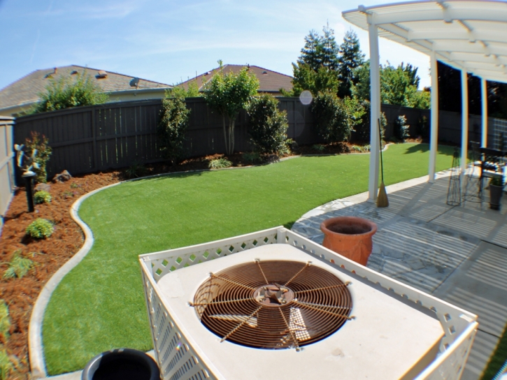 Plastic Grass Seal Beach, California Landscape Design, Backyard Designs