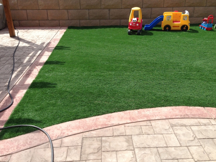 Plastic Grass Trabuco Canyon, California Landscaping, Backyard Landscaping Ideas