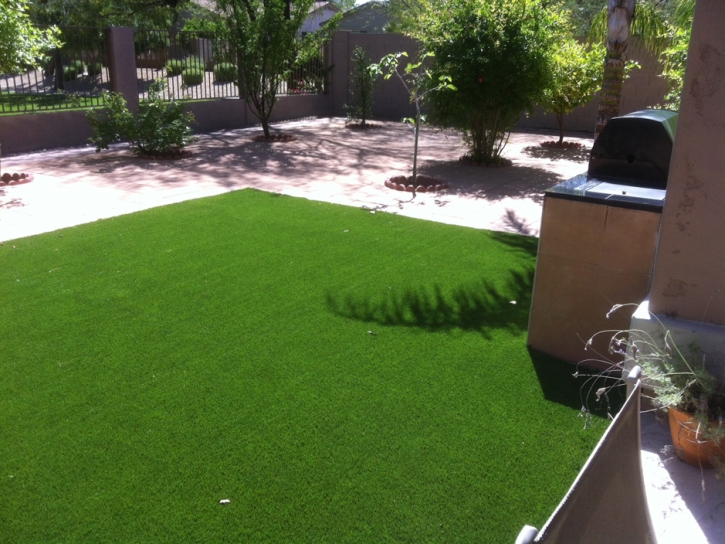 Plastic Grass Tustin, California Hotel For Dogs, Backyard Landscaping