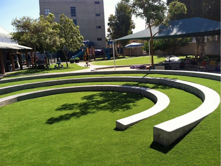 Synthetic Grass Buena Park, California Design Ideas, Commercial Landscape
