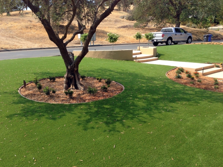 Synthetic Grass Cost Buena Park, California City Landscape, Front Yard Landscaping