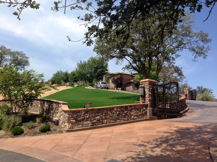 Synthetic Grass Cost La Palma, California Landscape Ideas, Front Yard Landscaping