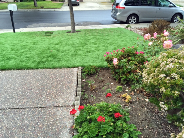 Synthetic Grass Cost Lake Forest, California Lawns, Front Yard Ideas