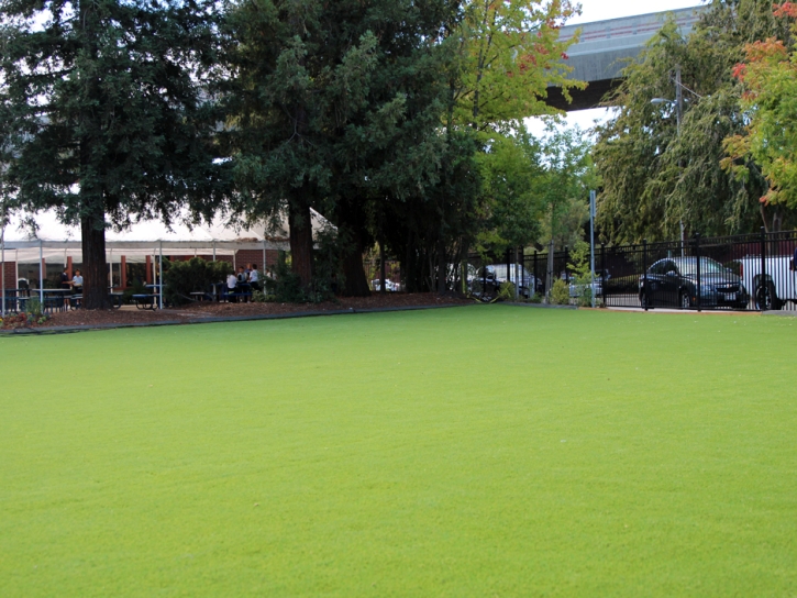 Synthetic Grass La Palma, California Home And Garden, Commercial Landscape
