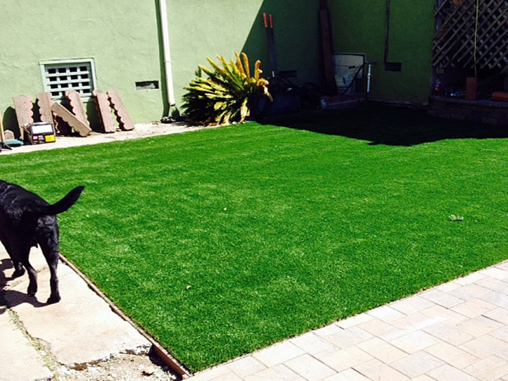 Synthetic Grass Los Alamitos, California Landscaping Business, Backyard Makeover